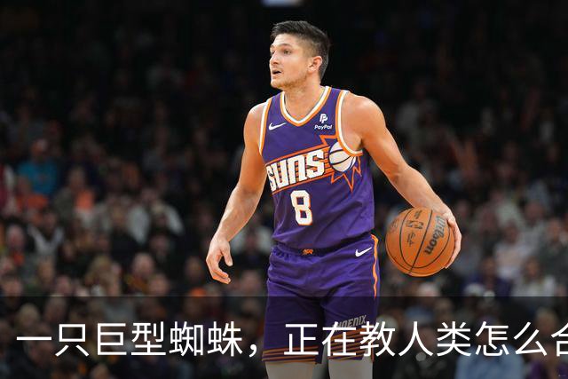 一只巨型蜘蛛，正在教人类怎么合作