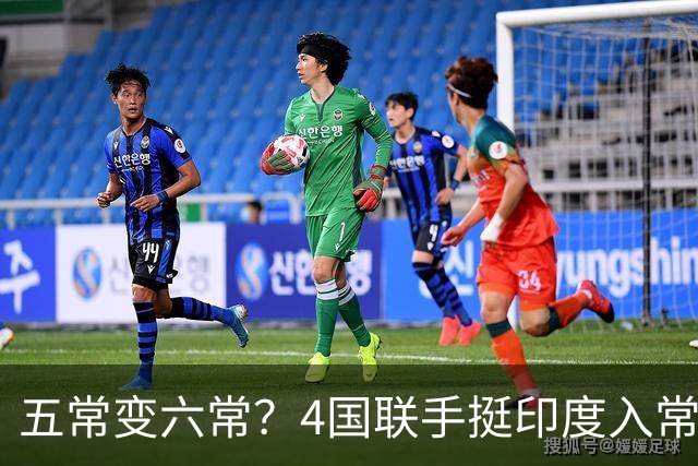 五常变六常？4国联手挺印度入常，俄支持扩员，中方表态耐人寻味