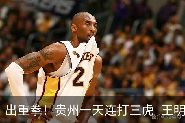 出重拳！贵州一天连打三虎 王明亮等三人被处理