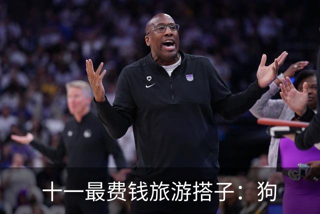 十一最费钱旅游搭子：狗