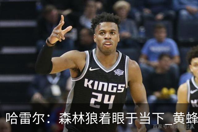 哈雷尔：森林狼着眼于当下 黄蜂考虑未来&若总无缘季后赛就该重建