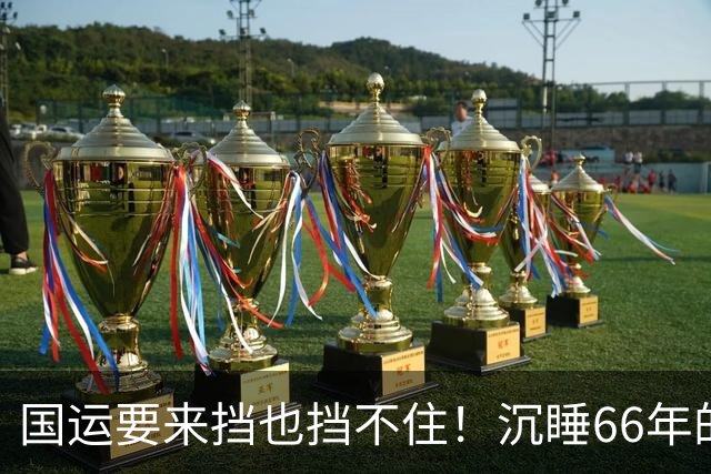 国运要来挡也挡不住！沉睡66年的"无心"条约，如今竟成东大王牌