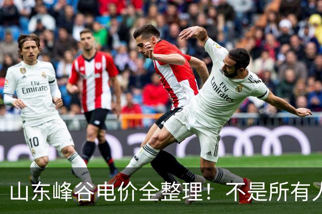 山东峰谷电价全整理！不是所有人开通都能省钱，千万别盲目办理