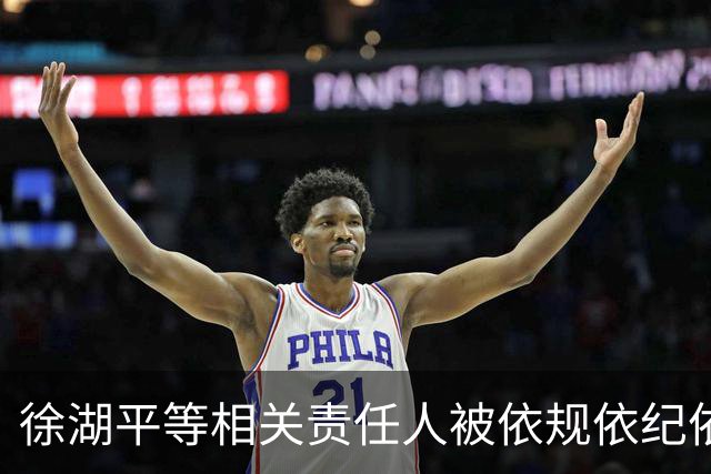 徐湖平等相关责任人被依规依纪依法处理
