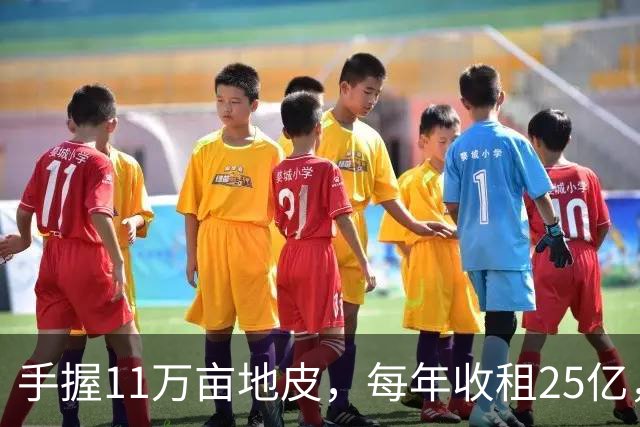 手握11万亩地皮，每年收租25亿，银行存700多亿，她才是我国隐形“地产女首富”