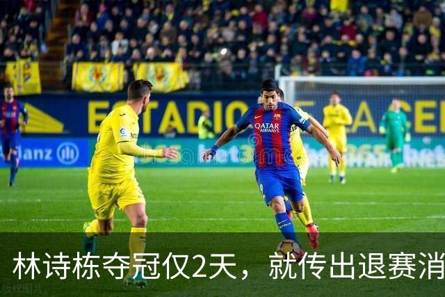 林诗栋夺冠仅2天，就传出退赛消息，原来他正在走全红婵的老路