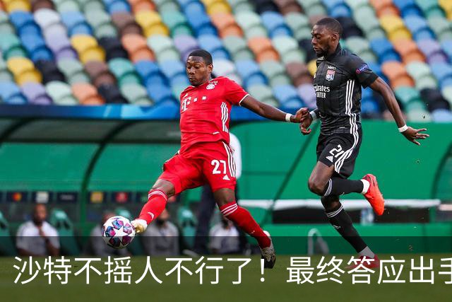 沙特不摇人不行了！最终答应出手帮忙的，居然不是美国和巴基斯坦