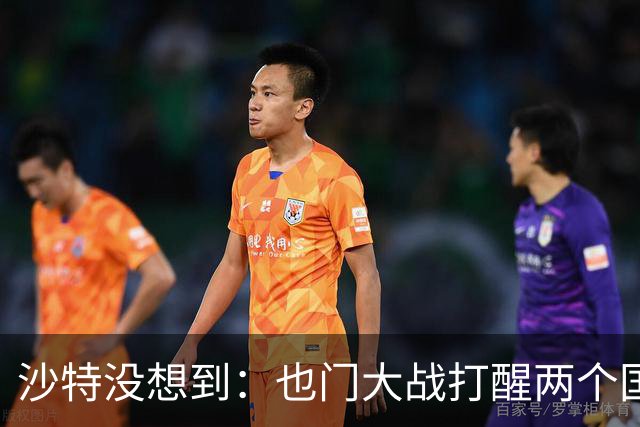 沙特没想到：也门大战打醒两个国家，一个是阿联酋，一个是伊朗
