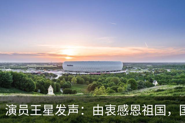 演员王星发声：由衷感恩祖国，国家的力量与执法机关的坚定担当，是我们最坚实的底气