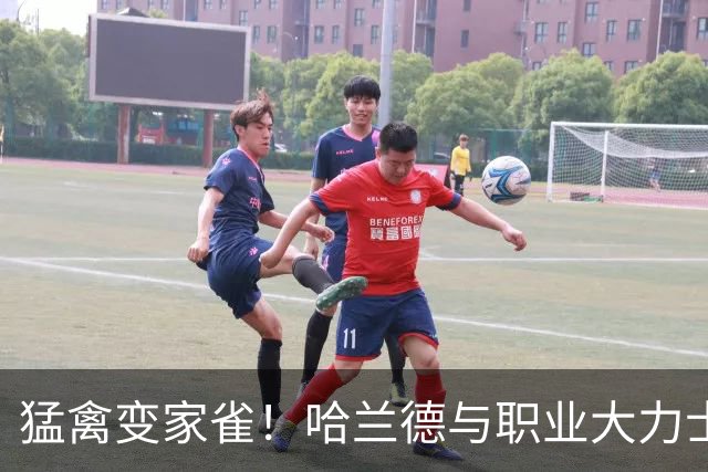 猛禽变家雀！哈兰德与职业大力士合影，身板几乎仅是对方一半