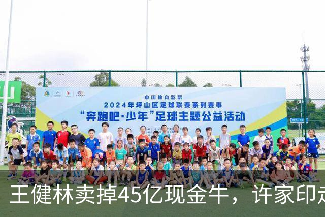 王健林卖掉45亿现金牛，许家印走上审判席：两个人的底牌差在哪