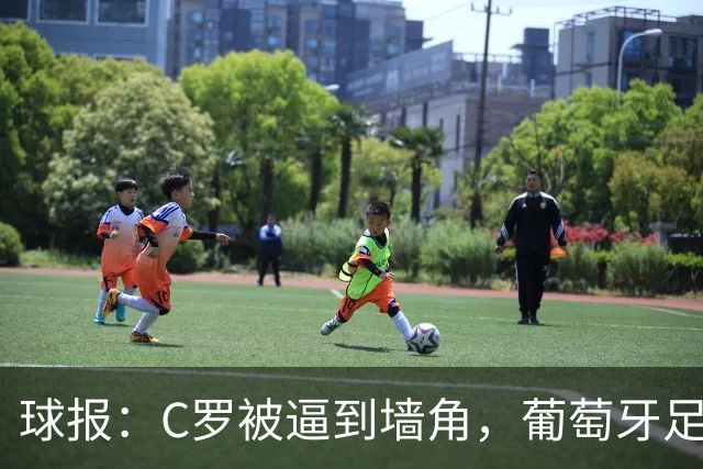 球报：C罗被逼到墙角，葡萄牙足协甩锅队长