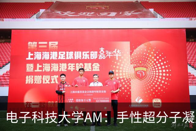 电子科技大学AM：手性超分子凝胶网络，实现锌电池8000次循环仍保91.2%容量