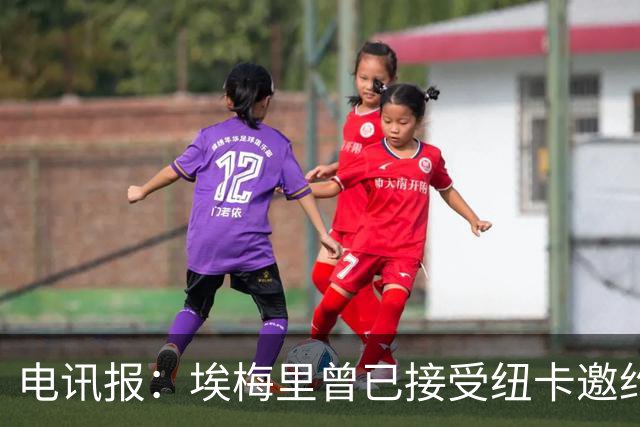 电讯报：埃梅里曾已接受纽卡邀约，但纽卡让媒体放风惹怒了他