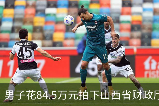 男子花84.5万元拍下山西省财政厅公物仓“金观音”，回家一测竟是铜像！“金观音” 源自行贿案，被检方认定赃物并收缴，法院判令退货还款