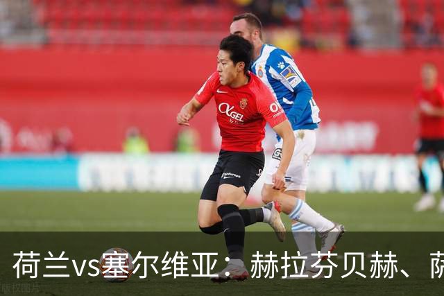 荷兰vs塞尔维亚：赫拉芬贝赫、萨默维尔出战，塔迪奇、梅尔丁克首发