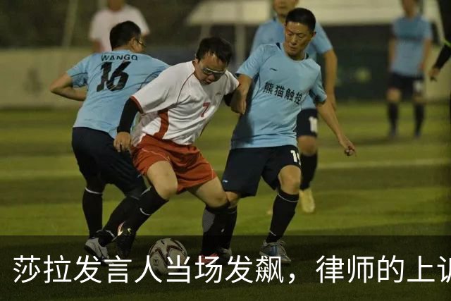 莎拉发言人当场发飙，律师的上诉送进最高法院，让大法官给个交代