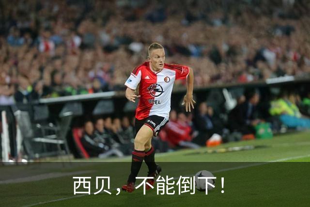 西贝，不能倒下！