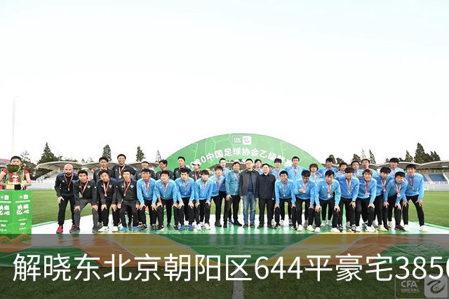 解晓东北京朝阳区644平豪宅3850万法拍，全部用于偿还债务