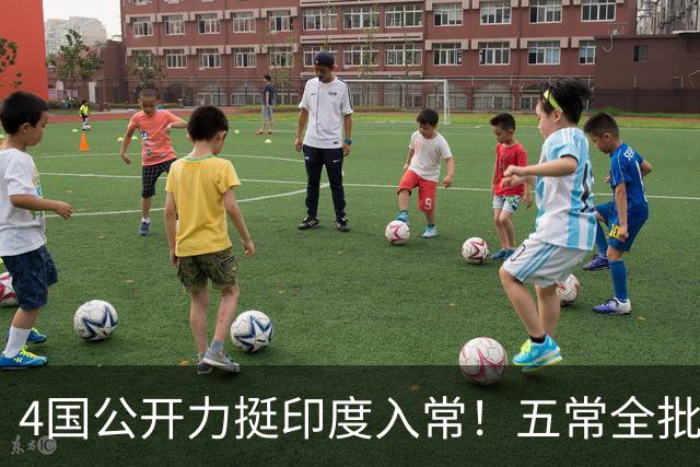 4国公开力挺印度入常！五常全批才可生效，缺中国同意根本行不通