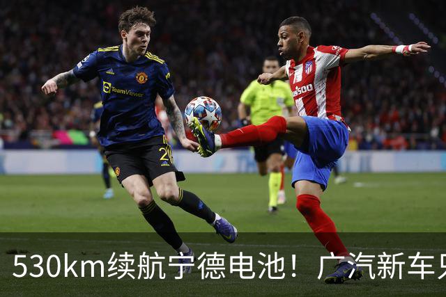 530km续航/宁德电池！广汽新车只要8万