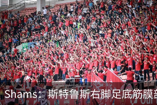 Shams：斯特鲁斯右脚足底筋膜部分撕裂，四周后重新评估